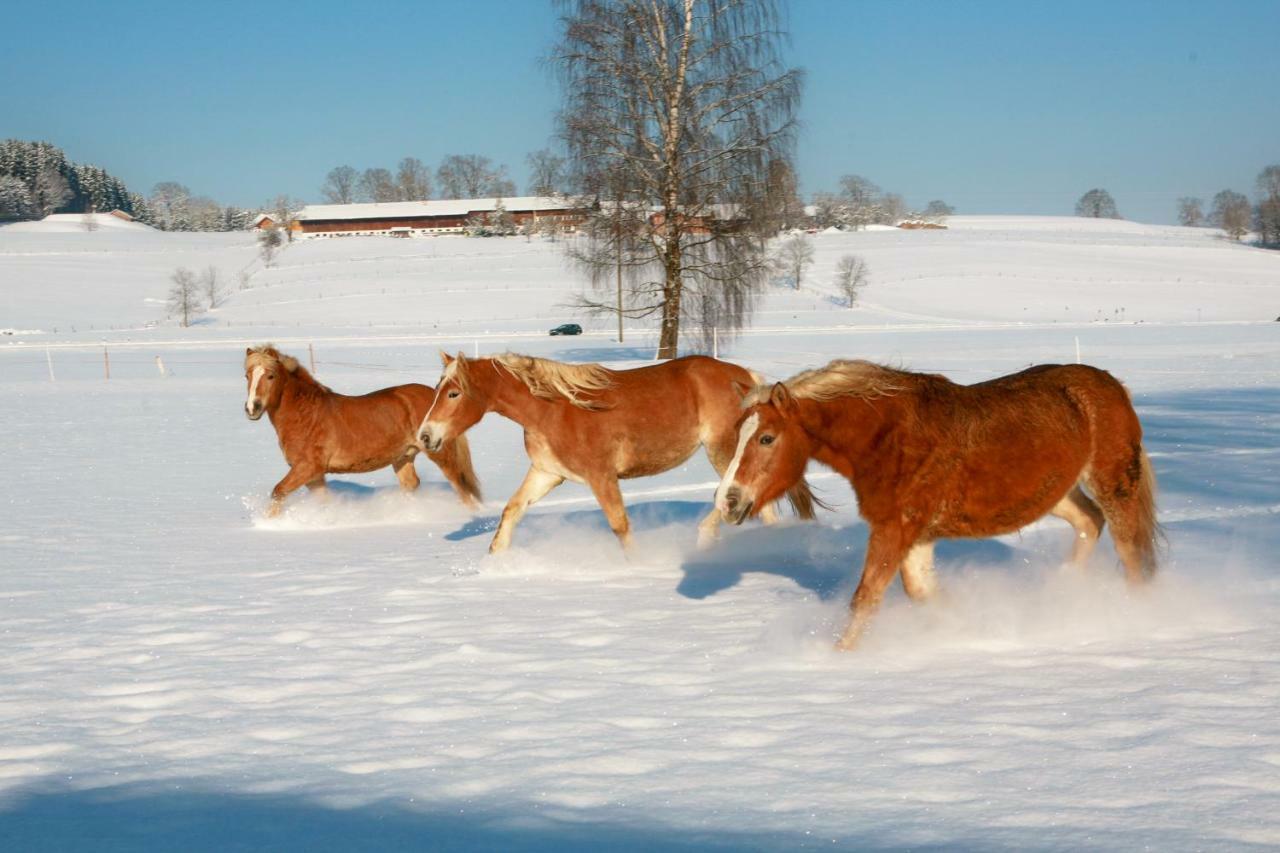 Sindelsdorf Ferienhof Off מראה חיצוני תמונה